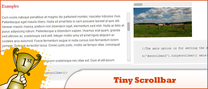 tiny-scroll.jpg